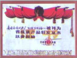 资质荣誉